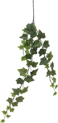 Produktbild von artplants.de Dekozweig Efeu LANSHUO, grün, 80 cm - Küntslicher Efeuzweig