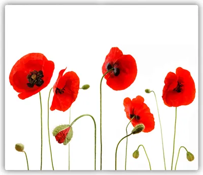 Produktbild von Tulup Glas Herdabdeckplatte Glaskeramikkochfeld-Abdeckung Spritzschutz Glasabdeckplatte Kochplattenabdeckung und Schneidebrett - Einteilig - 60x52 cm Mohnblumen