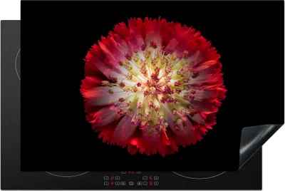 Produktbild von KitchenYeah© Herdabdeckplatte Blumen - Rot - Frühling , 80x52cm, Küche Deko, Glaskeramikkochfeld Herdabdeckung, Abdeckplatte fùr Kochfeld
