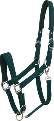 Image de HorseGuard licol Diya 2.0 Ponderosa Pine vert foncé, Taille:Shetty