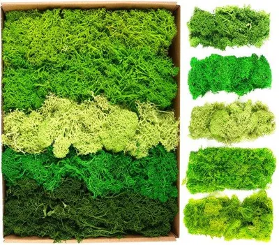Obrázek produktu pro Sada umělé mechové dekorace, 200 g, islandský mech, umělá tráva, umělé rostliny, akvária, betlém