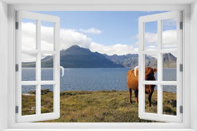 Produktbild von Wallario Poster mit Fenster-Illusion: Kuh in den Bergen, Größe: 100 x 150 cm