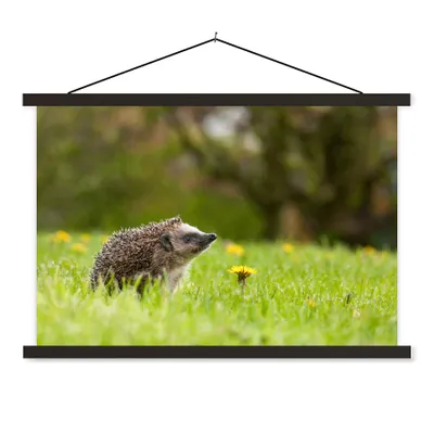 Produktbild von MuchoWow® Textilposter Igel im Gras 150x100 cm mit schwarzem Rahmen - Schlafzimmer