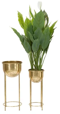 Immagine prodotto di Mauro Ferretti, 2 porta piante, diametro 27x62 cm e 21,5x52 cm, colore oro