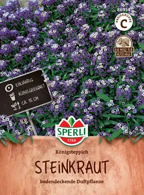 Produktbild von SPERLI Steinkrautsamen Königsteppich Lobularia maritima 45 Pflanzen