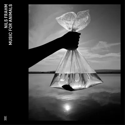 Produktbild von Music for Animals
