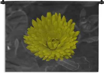 Produktbild von MuchoWow® Wandteppich Wandbehang Blumen - Aquarell - Löwenzahn 60x45 cm Tapisserie Dekoration Wandtuch - Das Schlafzimmer