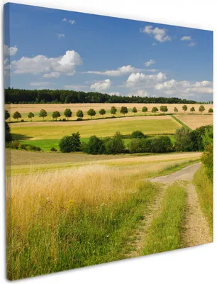 Produktbild von Wallario Premium Leinwandbild Feldlandschaft unter blauem Himmel in Größe 50 x 50 cm