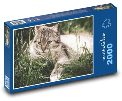 Obrázek produktu pro Puzzle 2000 Kočka v trávě - vousky - martinpuzzle