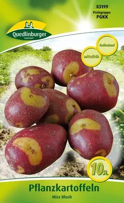 Produktbild von Pflanzkartoffel Miss Blush (10 Stück) (rot/gelb, festkochend, mittelspät) | Pflanzkartoffeln von Quedlinburger
