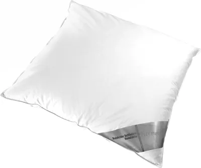 Produktbild von Kopfkissen - Baumwollbezug - Gänsedaunen - 80 x 80 cm