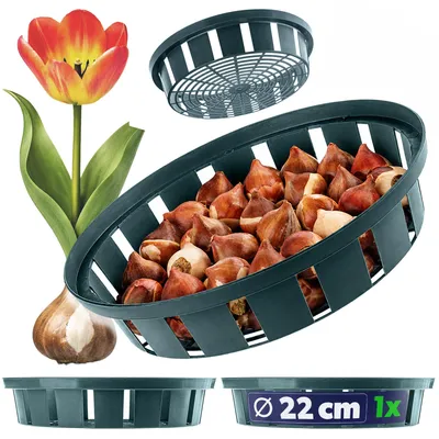Immagine prodotto di Cestino per bulbi KADAX 18 cm