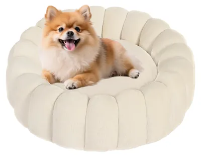 Immagine prodotto di Omgoods - Cuccia per cani DB206GE - Lavabile, beige, antiscivolo, cuccia per cani da 60 cm