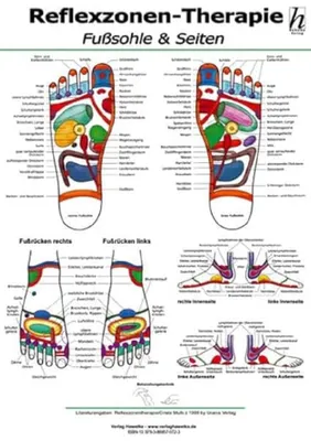 Produktbild von Reflexzonen-Therapie Mini-Poster - Fußsohle & Seiten DIN A4