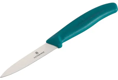 Image de Victorinox Swiss Classic 8cm Gemüsemesser grün