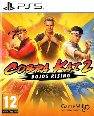 Produktbild von GameMill Entertainment Cobra Kai 2: Dojos Rising, PlayStation 5, RP (Rating Pending), Physische Medien