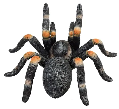 Produktbild von Mojo Fun Red Kneed Tarantula, 3 Jahr(e), Wildlife, Schwarz, Orange, Polyvinylchlorid (PVC)