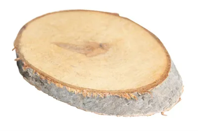 Produktbild von Deko Holzscheibe Birke oval Größe S ca.9-11x14-16cm ca. 2cm dick 1Stück