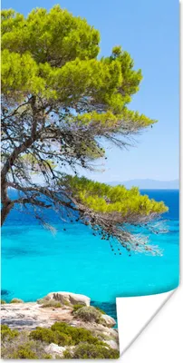 Produktbild von MuchoWow® Poster Baum - Meer - Tropisch - Sommer 20x40 cm - Plakat - Foto