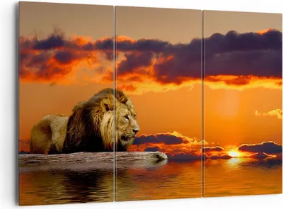 Produktbild von Bild auf Leinwand - Leinwandbild - Löwe Sonne Landschaft - 165x110cm - Wand Bild - Wanddeko - Leinwanddruck - Bilder - Kunstdruck - Wanddekoration - Leinwand bilder - Wandkunst - CE165x110-0230