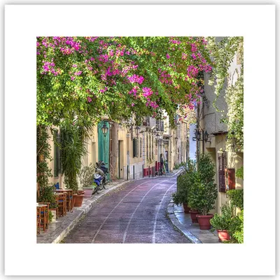 Produktbild von Poster - Poster ohne Rahmen - Straße dekoration blumen griechenland - 30x30 cm - Wand Bild - Wanddeko - Wandbilder - Kunstposter - Wandposter - Bilder - Kunstdruck - Wandbild - P2XAC30x30-2429