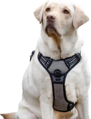 Produktbild von Famanu Hundegeschirr für große Hunde - Verstellbares Anti-Zug-Harness mit reflektierenden und atmungsaktiven Materialien - Größe L - Grau