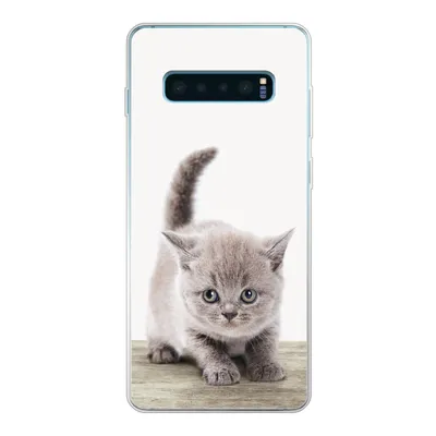 Produktbild von MuchoWow® Handyhülle Schutzhülle Hülle für Samsung Galaxy S10 Plus Kätzchen - Katze - Haustiere - Jungen - Kinder - Mädchen Silikon Softcase Handy Hülle - Schutzhülle