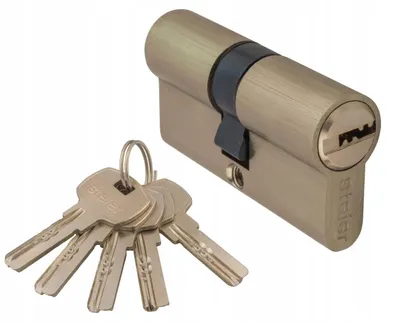 Image de Cylindre de serrure Steier PLUS Nickel 5 clés