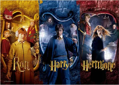 Produktbild von Sd Toys Harry Potter Ron. Harry. Hermione Puzzle 1000 Stücke Schwarz  Schwarz One Size