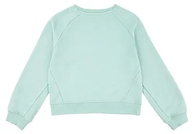Produktbild von LEVI'S Girl's FW-Crew Sweatshirt, Celadon, 8 Jahre