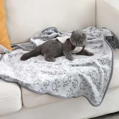 Produktbild von Hundedecke plüsch, waschbar haustier decken, vielseitig einsetzbar für sofa, auto & bett