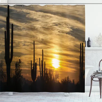 Zdjęcie produktu dla ABAKUHAUS Arizona Zasłona prysznicowa, Horizon Skyline w okolicy Scottsdale z dramatycznymi chmurami nad kaktusami, 175 x 240 cm, wielokolorowa