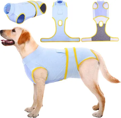 Produktbild von Kuoser Hundebody Op Kastration Rüde Hündin, Atmungsaktiv, Leckschutz, Anti-Wundlecken, Blau XL