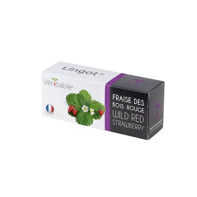 Produktbild von Véritable 3760262511368, Essbare Pflanze, Erdbeere, Nachfüllen, Langsam wachsend (8-12 Wochen)