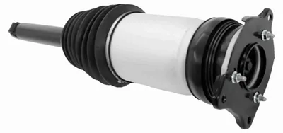 Image de Jambe de suspension pneumatique TESLA MODEL S
