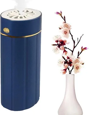 Image de Petit humidificateur à vapeur froide avec recharge USB et fonction d'aromathérapie