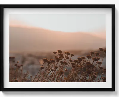 Produktbild von Boho romantische Graslandschaft– Wandbild mit Rahmen – Gerahmtes Bild  – Wanddekoration – 80x60 cm –  Schwarz Rahmen