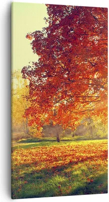 Produktbild von Bild auf Leinwand - Leinwandbild - Park Herbst Baum - 55x100cm - Wand Bild - Wanddeko - Wandbilder - Leinwanddruck - Bilder - Kunstdruck - Wanddekoration - Leinwand bilder - Wandkunst - PA55x100-3654