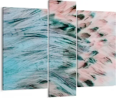 Produktbild von Bild auf Leinwand - Leinwandbild - Federn Federn Vogel - 95x80cm - Wand Bild - Wanddeko - Wandbilder - Leinwanddruck - Bilder - Kunstdruck - Wanddekoration - Leinwand bilder - Wandkunst - CB95x80-3742