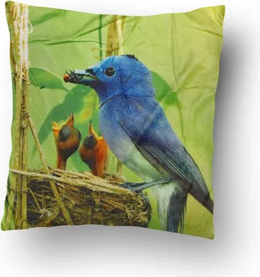 Produktbild von Top textil Mikroplüschkissen Vogel