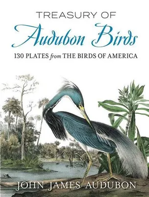 Obrázek produktu pro Treasury of Audubon Birds