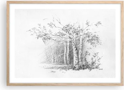 Produktbild von Gerahmtes Poster - Rahmen in heller Eiche - Skizze Wald Birke - 70x50 cm - Wand Bild - Wanddeko - Wandbilder - Wandposter - Bilderrahmen - Bilder - Kunstdruck - Wandbild - P2NAA70x50-4280