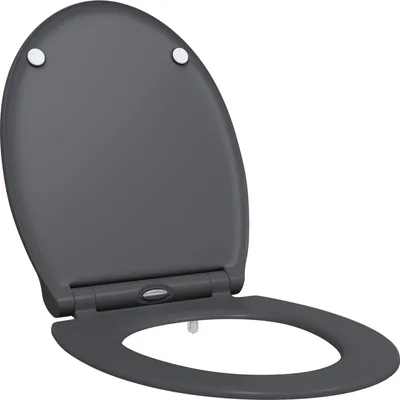 Image de Siège de toilette Anthracite 47 x 37,5 x 3,8 cm Duroplast