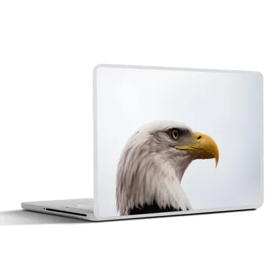 Produktbild von MuchoWow® Laptop Aufkleber Sticker Cover Adler - Adler - Porträt - Vogel - Raubvogel - Schnabel 31x22.5 cm - Laptop-Deko