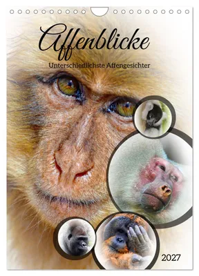 Produktbild von Affenblicke (Wandkalender 2027 DIN A4 hoch), CALVENDO Monatskalender