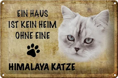 Produktbild von Blechschild Spruch 30x20cm Himalaya Katze ohne kein Heim