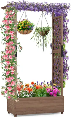 A wooden raised garden bed with various flowers and climbing plants, set against a white background.