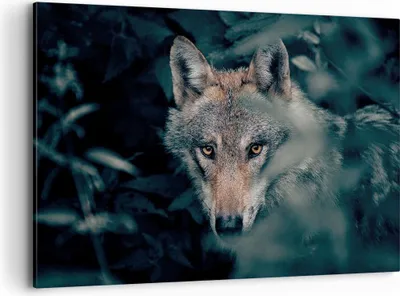 Produktbild von Bild auf Leinwand - Leinwandbild - Einteilig - Wolf Wald Raubtier - 120x80cm - Wand Bild - Wanddeko - Wandbilder - Leinwanddruck - Bilder - Wanddekoration - Leinwand bilder - Wandbild - AA120x80-5053