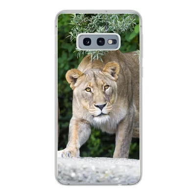 Produktbild von MuchoWow® Handyhülle Schutzhülle Hülle für Samsung Galaxy S10e Löwinnen - Wilde Tiere - Jagd Silikon Softcase Handy Hülle - Handy