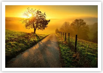 Produktbild von Poster - Poster ohne Rahmen - Feld Straße Baum - 100x70 cm - Wand Bild - Wanddeko - Wandbilder - Kunstposter - Wandposter - Bilder - Kunstdruck - Wanddekoration - Wandbild - P2XAA100x70-3851